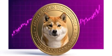 Dogecoin Case: Is DOGE Still the King of Memes?