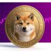 Dogecoin Case: Is DOGE Still the King of Memes?