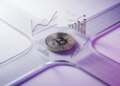 CPI on June 10 and the FOMC on June 17, Bitcoin’s Next Big Move Will Be Decided in the Next 7 Days