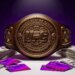 Trump USD1 Crypto Stablecoin Debuts as Fighter Bonus Currency at White House UFC Event