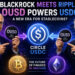 Crypto News, July 2: Circle USDC Hit by Blackrock and Ripple XRP Backed OUSD, Bitcoin and Ethereum Price Recovering