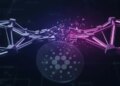 Cardano Price Prediction: Midnight Hacked, Cardano Rally Canceled