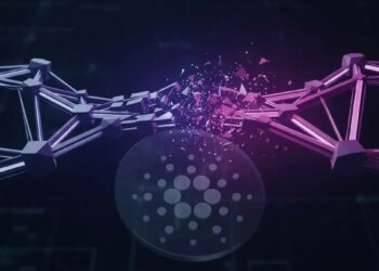 Cardano Price Prediction: Midnight Hacked, Cardano Rally Canceled