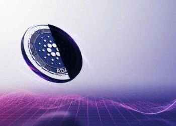 Cardano Whales Are Planning a Big Move: Will ADA Sink or Swim?