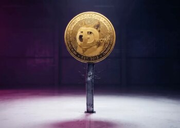 Mark Yusko Says Dogecoin and SpaceX Valuations Are ‘Silly’