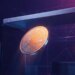Bitcoin’s $80,000 Return Faces an $82,300 Confirmation Test