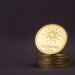 ADA Price Surges 11%:  Why is Cardano Pumping As DEX Activity Falls?