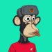 ApeCoin Price Tests Support Ahead of New York ApeFest Meetup