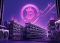 Bitcoin Price Stays Out of the Red as This Bear Market Breaks a Historic Pattern
